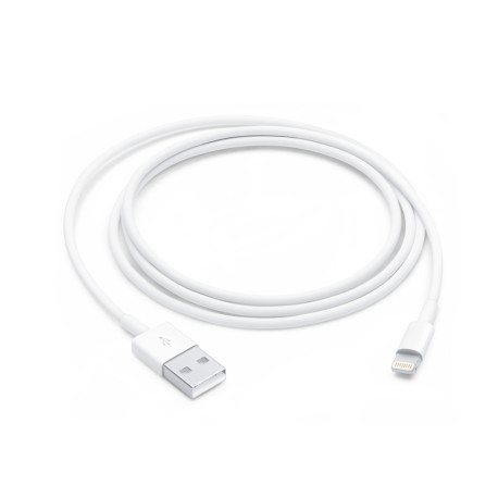 CABLE USB iPHONE 7G 1MT